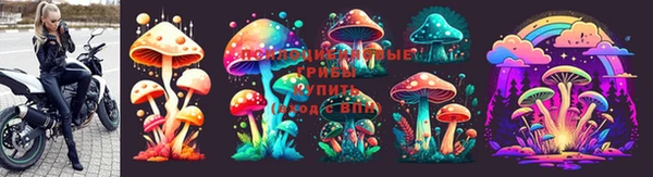 mix Абинск