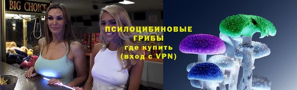 ПСИЛОЦИБИНОВЫЕ ГРИБЫ Абдулино