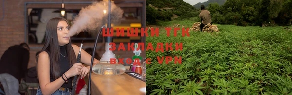 ПСИЛОЦИБИНОВЫЕ ГРИБЫ Абдулино