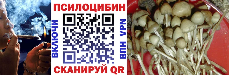дарк нет клад  Кохма  Псилоцибиновые грибы Cubensis 